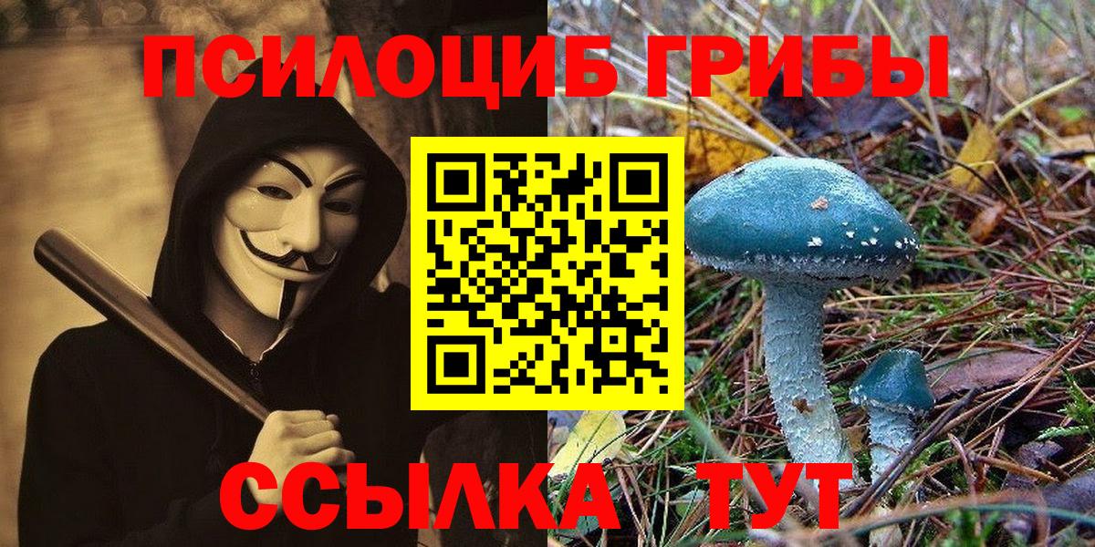 Галлюциногенные грибы Magic Shrooms  Галлюциногенные грибы прущие грибы  Нефтеюганск  Вход с VPN 